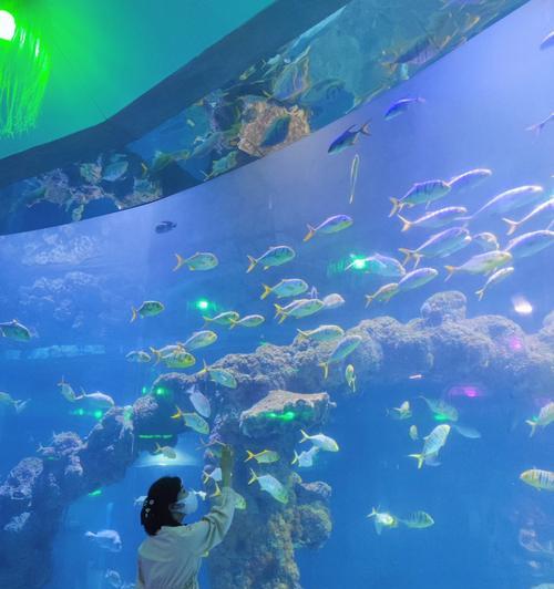 文明大爆炸水族馆和剧场哪个更值得体验？