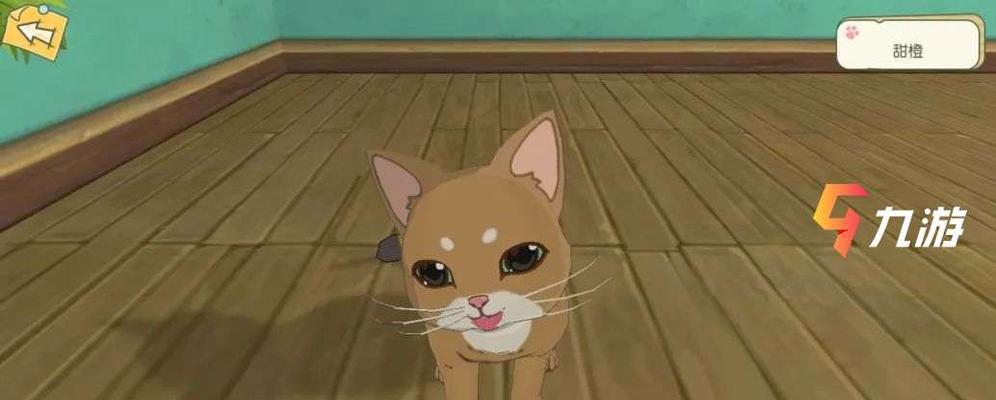 小森生活猫盖饭怎么制作？步骤和技巧是什么？