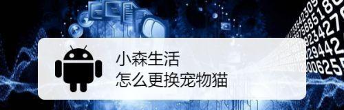 小森生活猫咪怎么养？养猫新手常见问题解答？