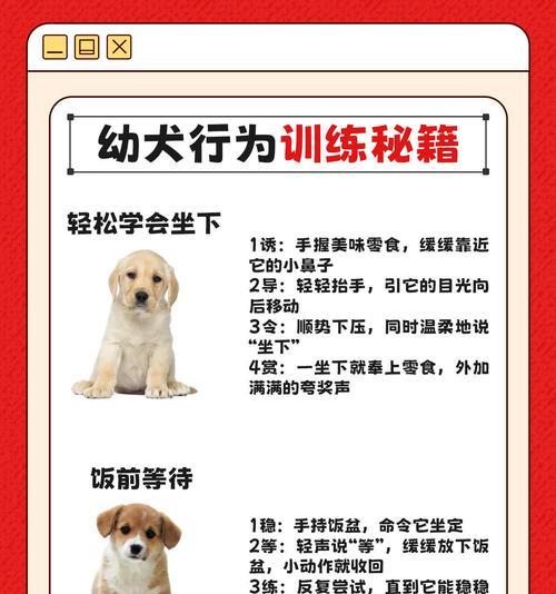 猎犬执行任务的具体步骤是什么？